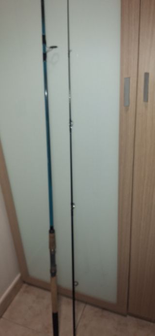 Pesca CAÑA DE PESCA spinning