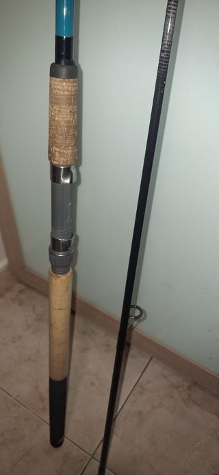 Pesca CAÑA DE PESCA spinning