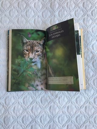 libro Fotografiar la Naturaleza