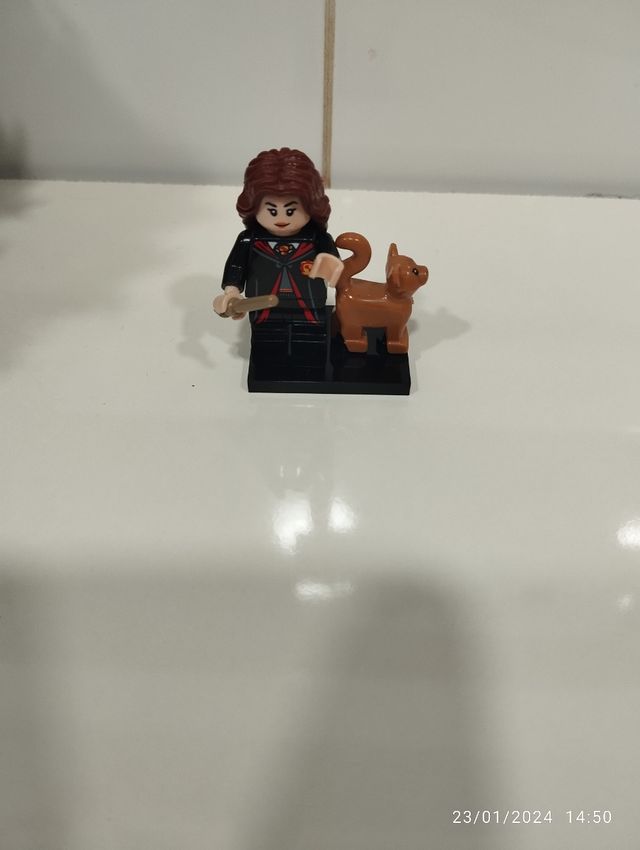 Hermione Harry Potter