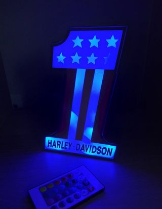 HARLEY DAVISON LUMINOSO