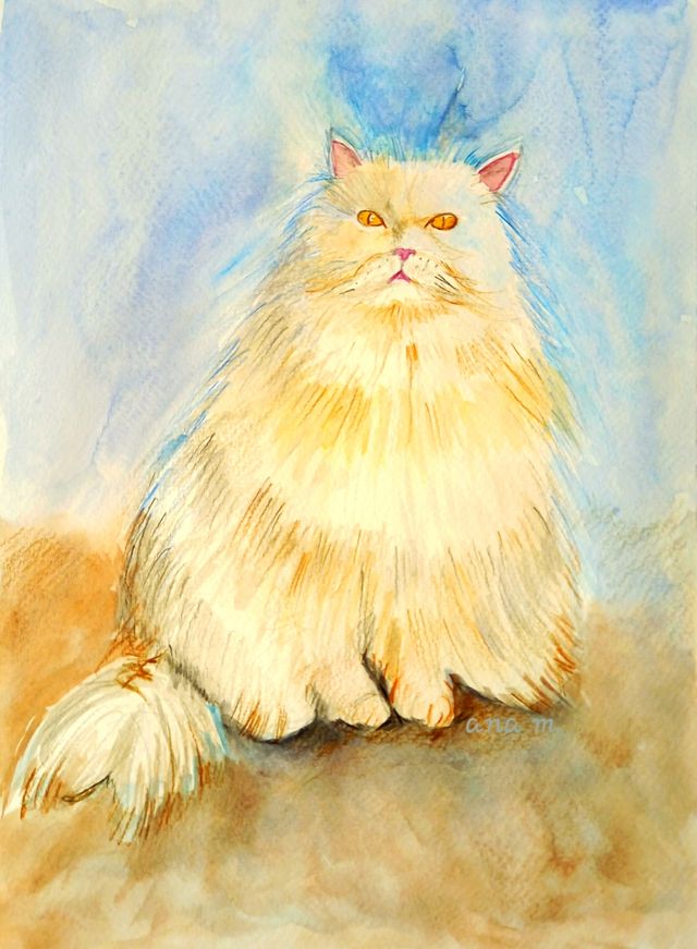 Retrato de gato persa