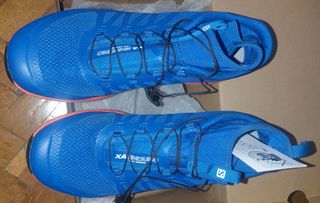 Zapatillas Salomon XA Enduro