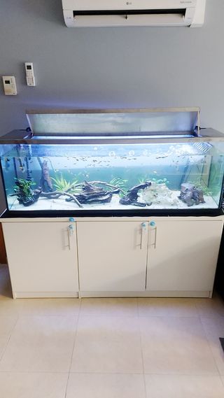 Acuario 300litros