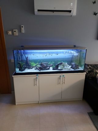 Acuario 300litros