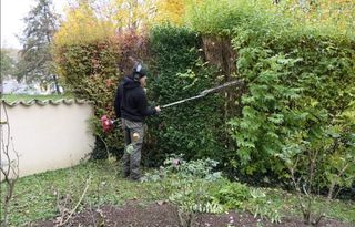 Jardínero económico