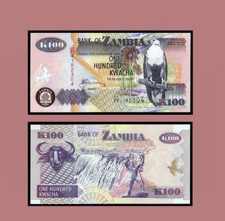 Billete Zambia de 100 Kwachas de 2006 Aguila.
