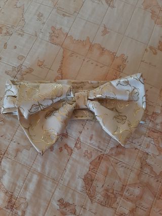 Vestito carnevale bambina