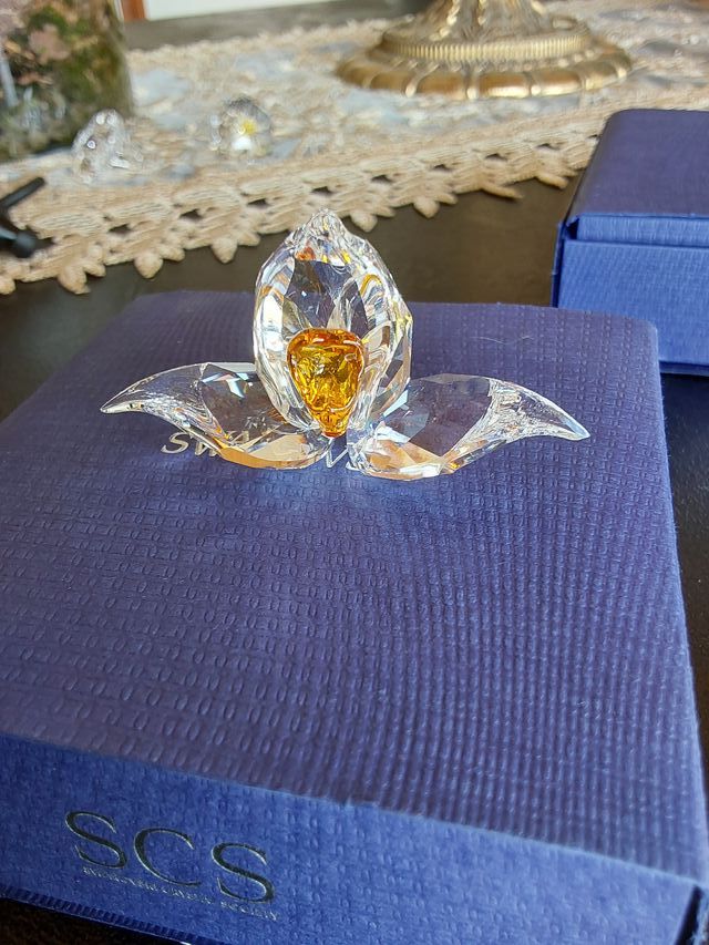 Orchidea africana Swarovski