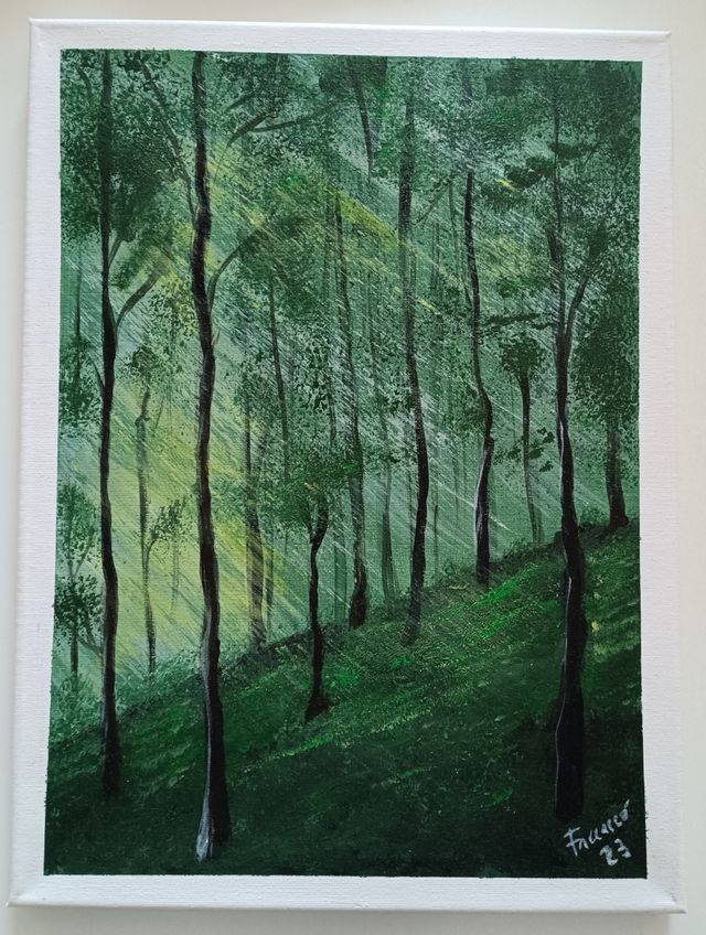 Quadri tecnica acrilico