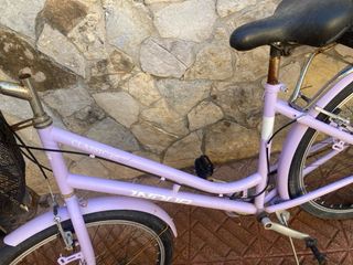 Bicicleta con canasta