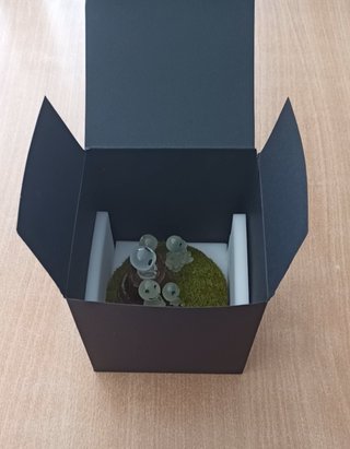 Dioramas de La Princesa Mononoke