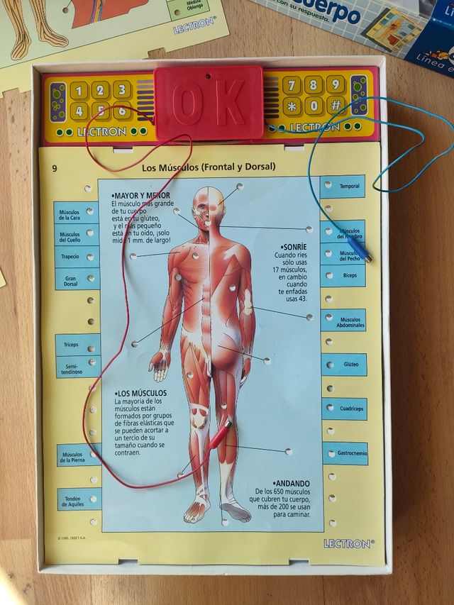 CONOSCI IL TUO GIOCO CORPOREO - LECTRON