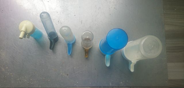 Accesorios para pájaros