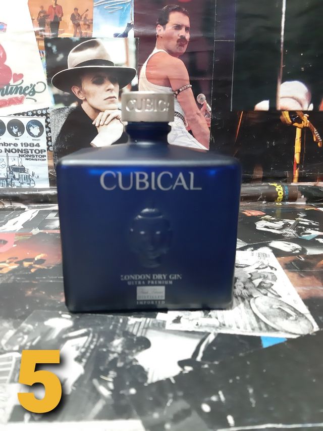 Bottiglie vuote gin per bricolage 