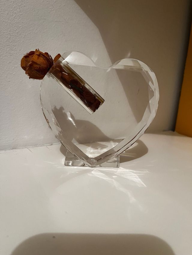 cuore vaso per Rosa stabilizzata