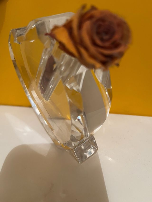 cuore vaso per Rosa stabilizzata