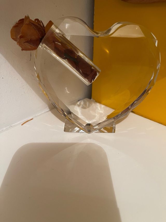 cuore vaso per Rosa stabilizzata