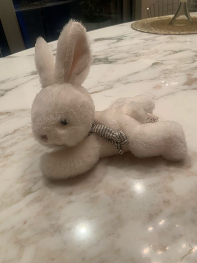 coniglietto peluche