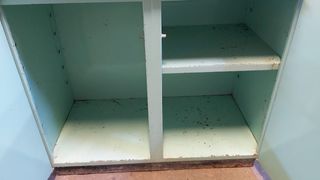 ANTIGUO ARMARIO METAL.2A OPORTUNITAT.