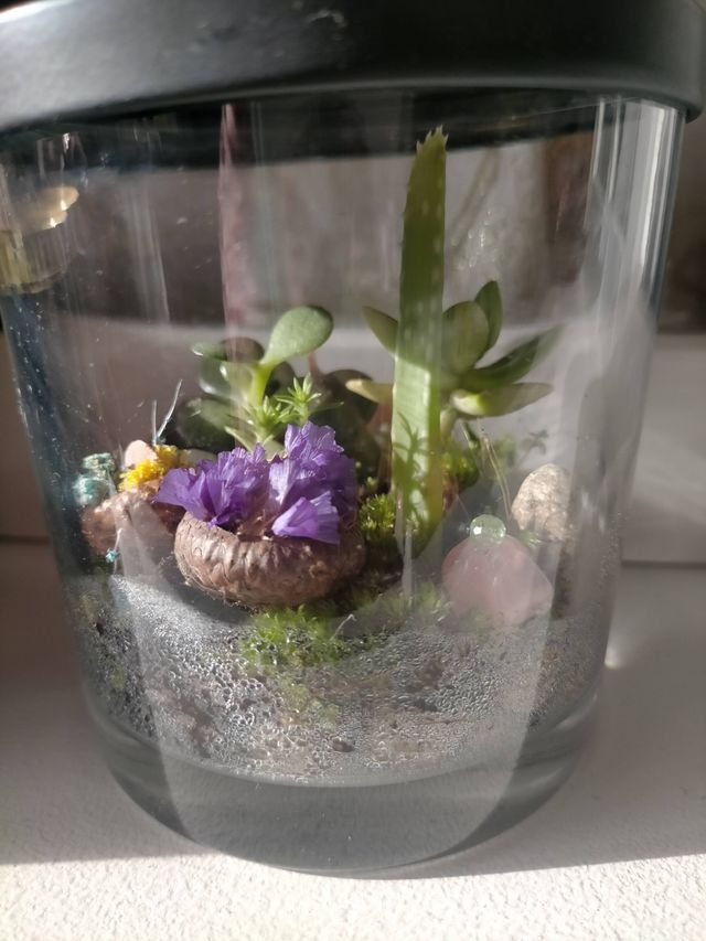 Mini jardines eternos.