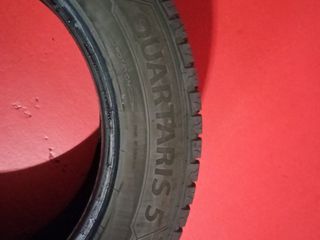 Neumaticos