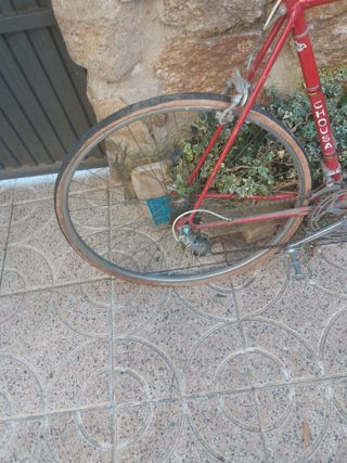 Bicicleta bahamontes