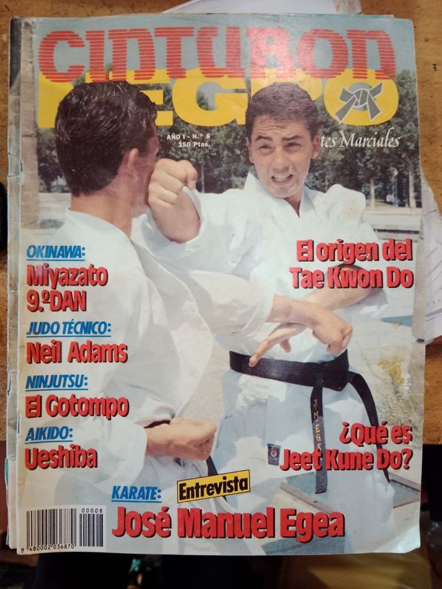 Revistas artes marciales