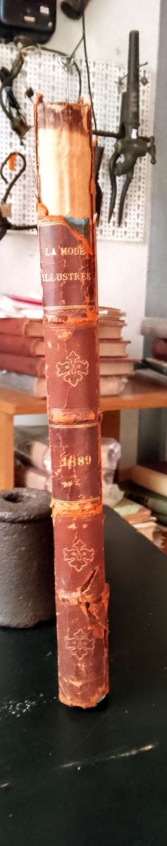 La Mode illustree anno 1889 completo