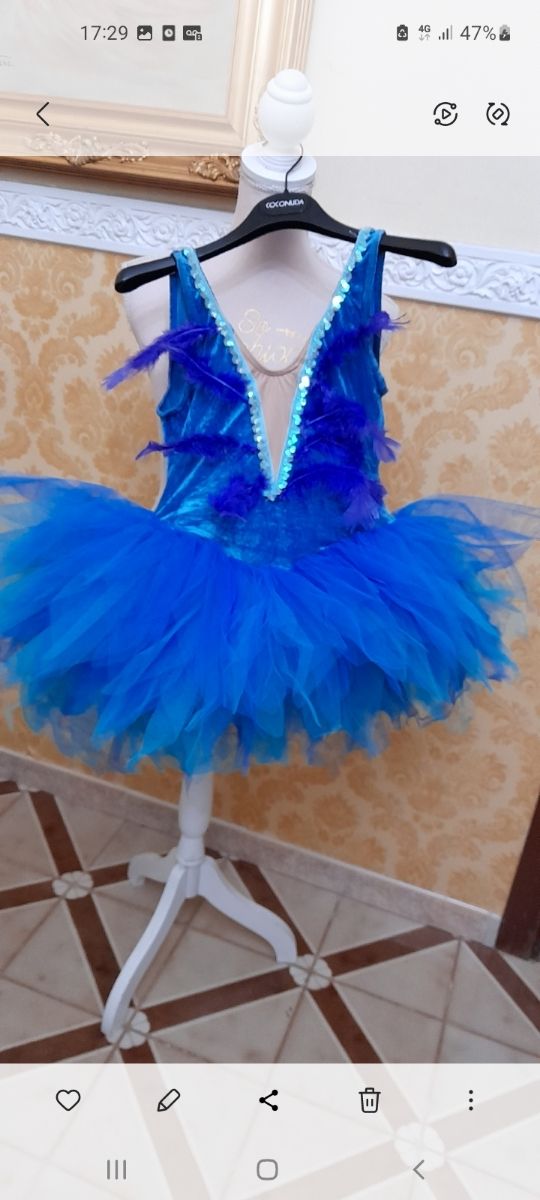 Vestito carnevale