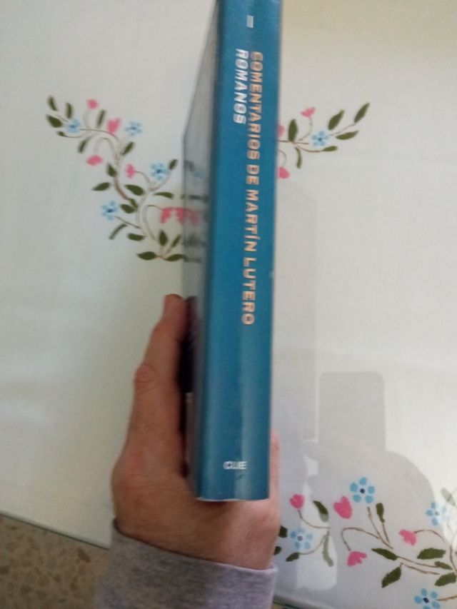 Martín Lutero, Comentarios de Romanos