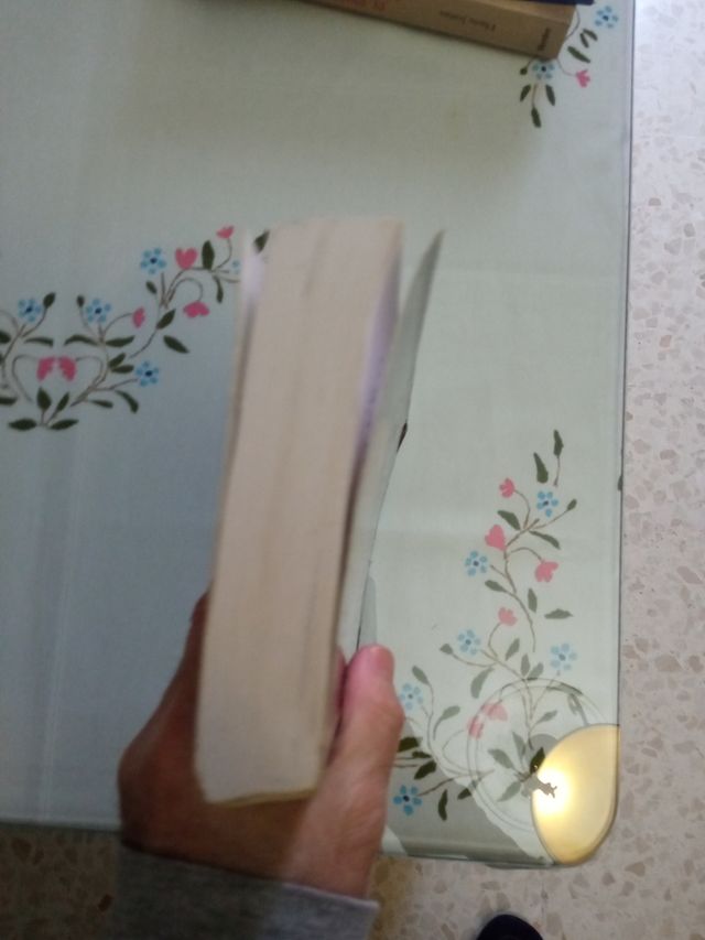 Martín Lutero, Comentarios de Romanos