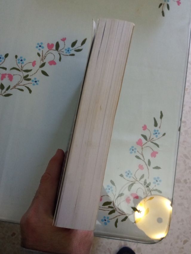 Martín Lutero, Comentarios de Romanos