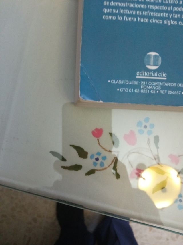 Martín Lutero, Comentarios de Romanos