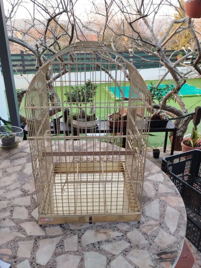 Jaula loro