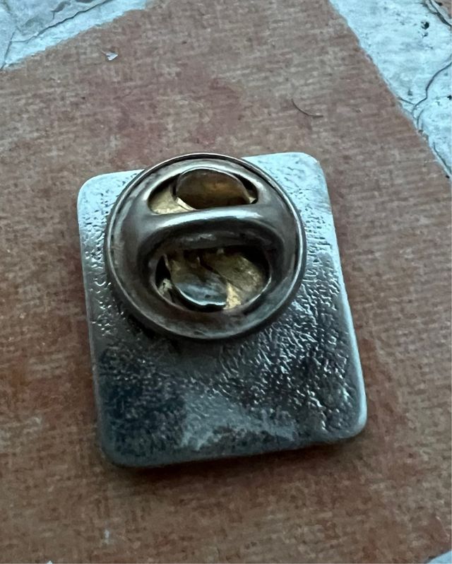 Pin Nasa - inta 20 años 64/84