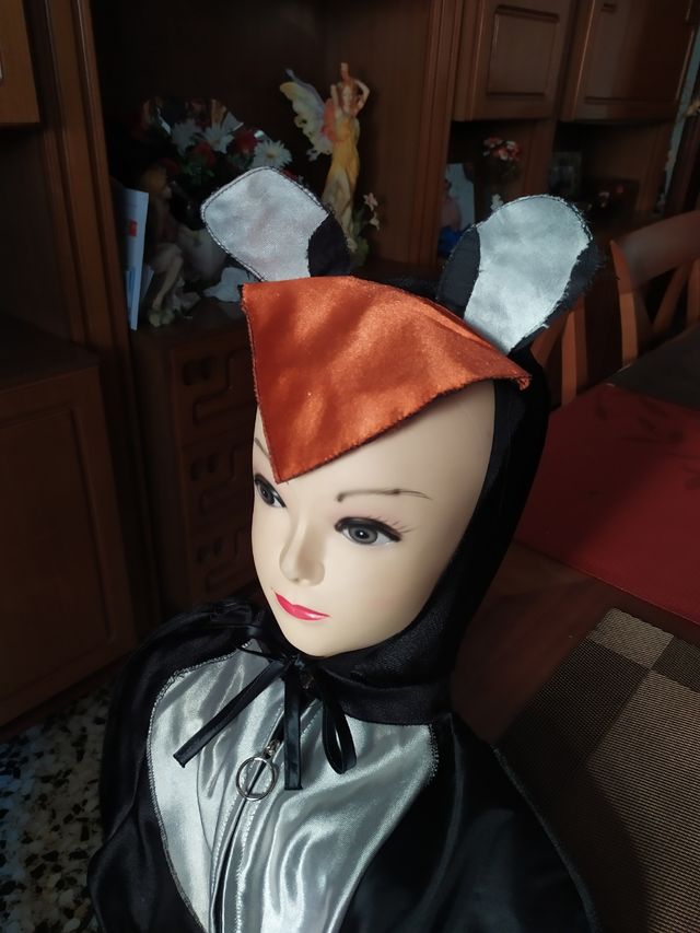 Disfraz del pájaro urraca