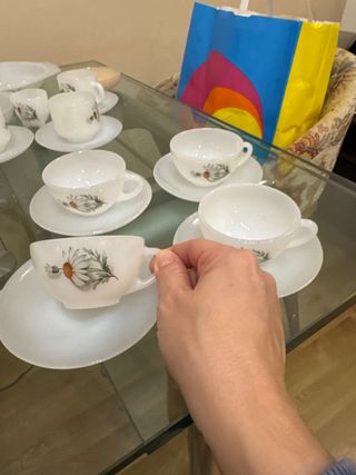 Lote vajilla Arcopal Margaritas