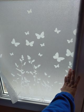 Lamina protección visual ventanas