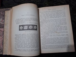 E.Villegas primeras materias Ciencias Naturales