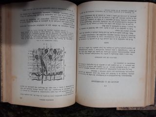 E.Villegas primeras materias Ciencias Naturales