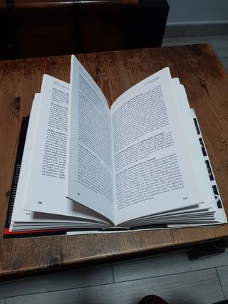 LIBRO REY Y ALCALDES DE ANGEL FONT
