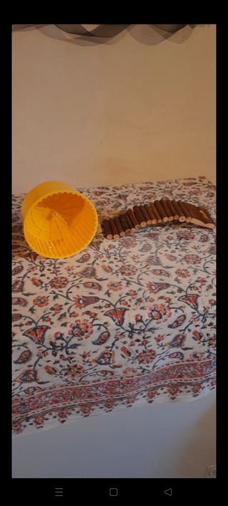 Ruota criceti + ponte tibetano