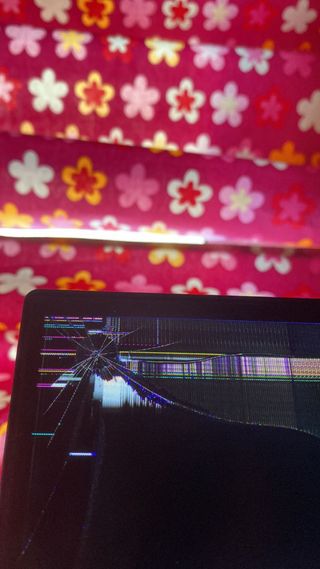 monitor ovalado para ordenador garmin