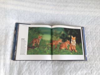 Fotografos de la Naturaleza 2003