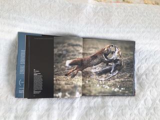 Fotografos de la Naturaleza 2004