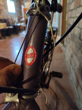 Bicicleta Atala Flyer 2620