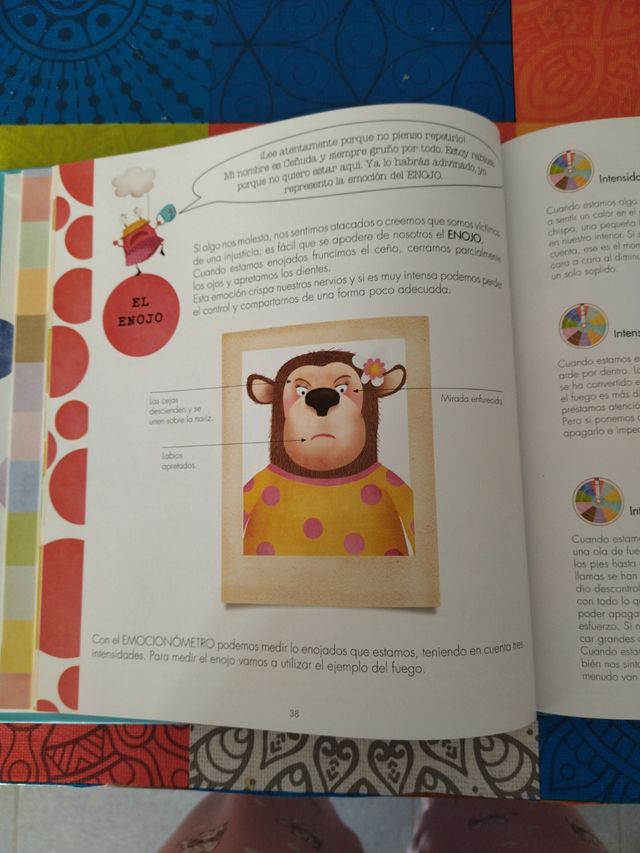 Libro emociones 