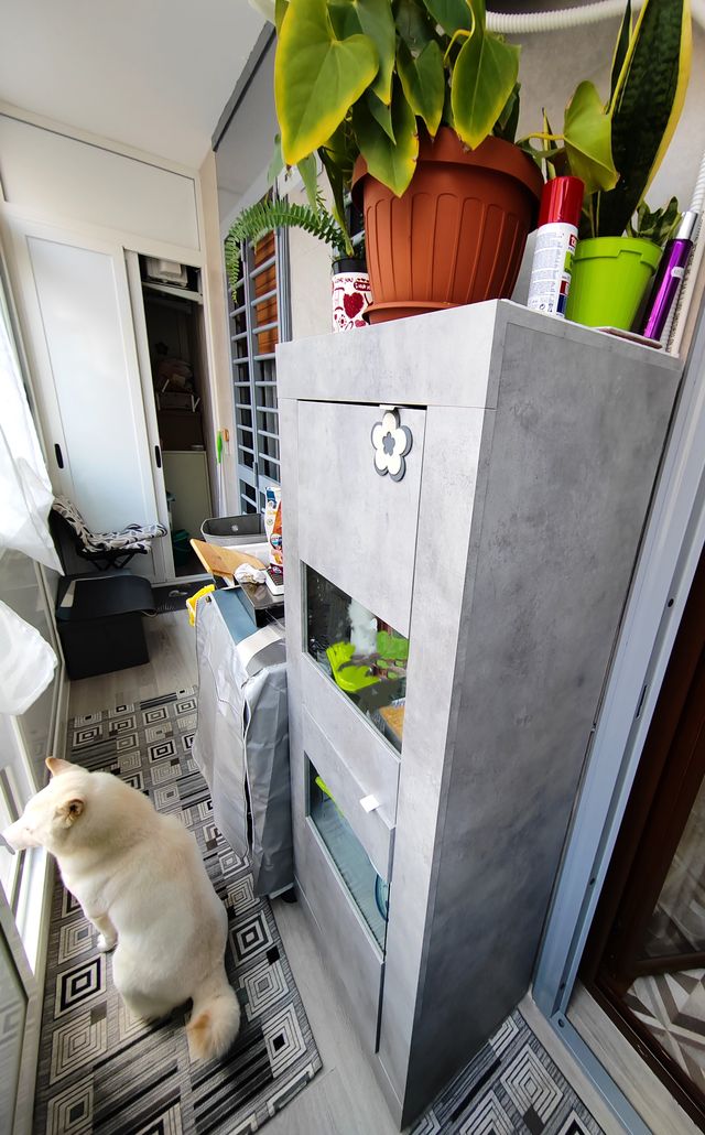 Armadietto vetrato Marmorato, Grigio, Doppia Anta