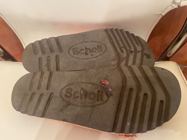 scholl sandalia